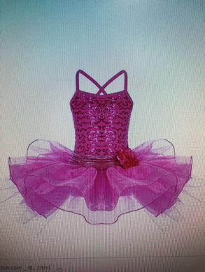 Little Girls' Ballet Sequined Dress Gymnastics Dance Leotard Costume Kids Tutu Dancewear One-Piece Sparkle Glitter Skirt