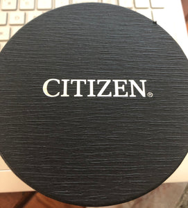 Citizen Eco-Drive EW9334-52E Silhouette Two Tone free shipping