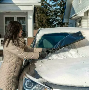 FrostBlocker Winter Windshield Cover Mirror Covers And Storage Pouch