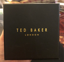 Load image into Gallery viewer, Ted Baker TE10030650 'Daniel' Men's 42mm Siilver Tone Leather Strap Watch