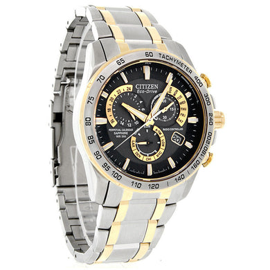 Citizen Eco-Drive Mens Perpetual Calendar Radio Control Watch AT4004-52E